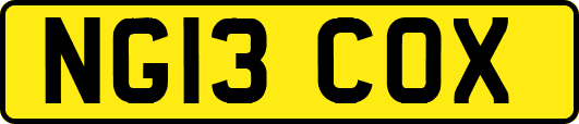 NG13COX