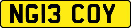 NG13COY
