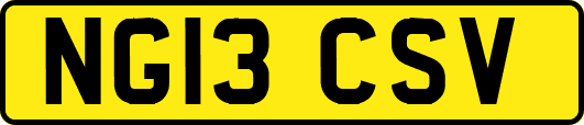 NG13CSV