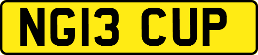 NG13CUP
