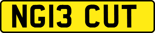 NG13CUT