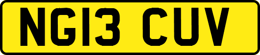 NG13CUV