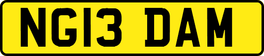 NG13DAM