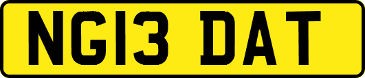 NG13DAT