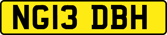 NG13DBH