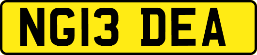 NG13DEA