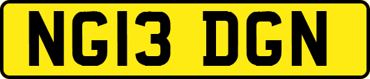 NG13DGN