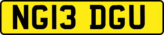 NG13DGU
