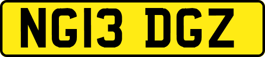 NG13DGZ