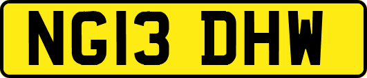 NG13DHW
