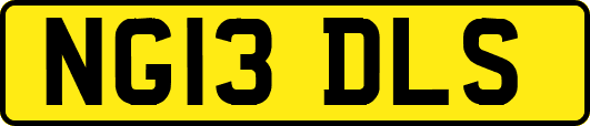 NG13DLS