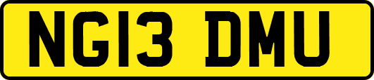 NG13DMU
