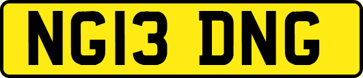 NG13DNG
