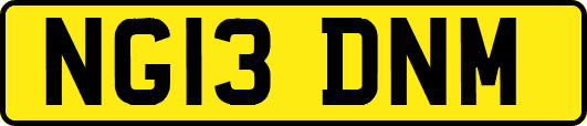 NG13DNM