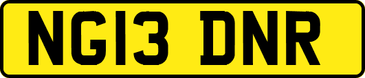 NG13DNR