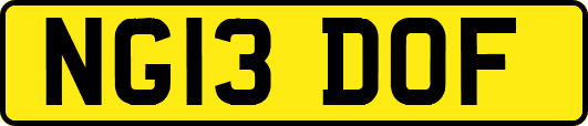 NG13DOF