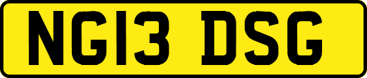 NG13DSG