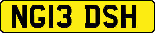 NG13DSH