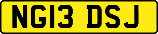 NG13DSJ