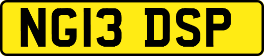 NG13DSP