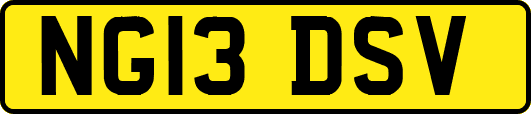 NG13DSV