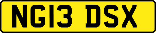 NG13DSX