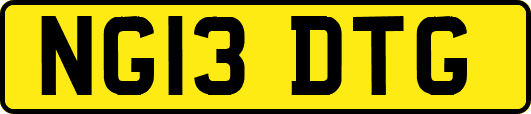 NG13DTG