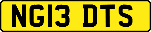 NG13DTS