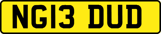 NG13DUD