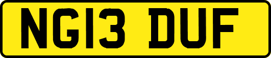 NG13DUF