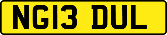 NG13DUL