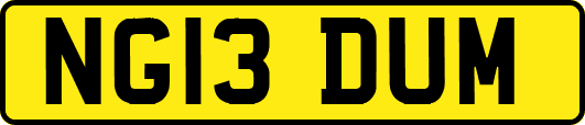NG13DUM