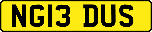 NG13DUS