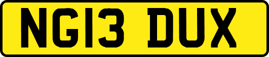 NG13DUX