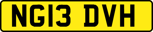 NG13DVH