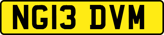 NG13DVM