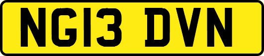 NG13DVN