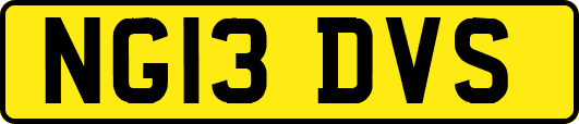 NG13DVS
