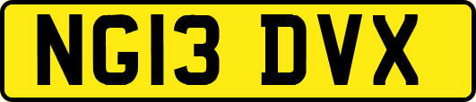 NG13DVX