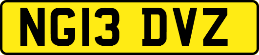NG13DVZ