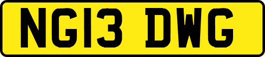 NG13DWG