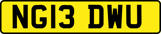 NG13DWU