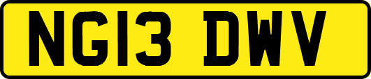 NG13DWV
