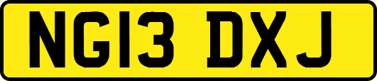 NG13DXJ