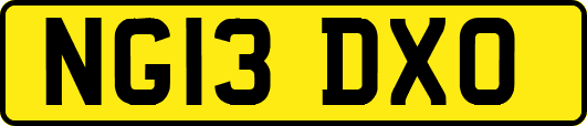 NG13DXO