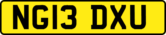 NG13DXU