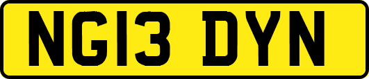 NG13DYN