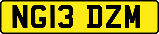 NG13DZM