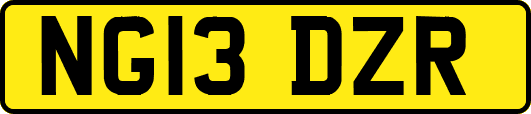 NG13DZR