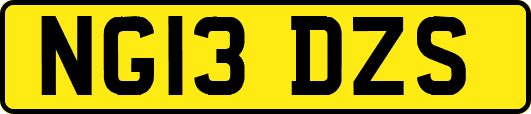 NG13DZS